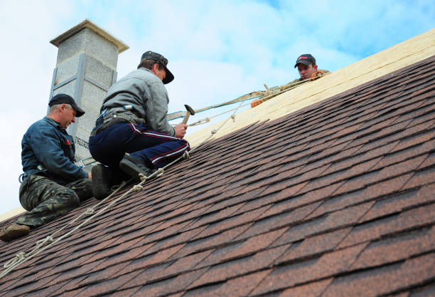Best Gutter Installation and Roofing  in Wonder Lake, IL